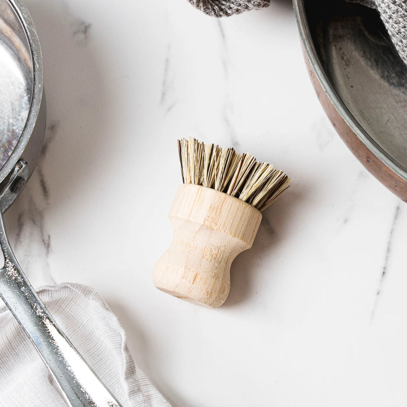 Ever Eco Pot Scrubber