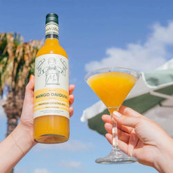 Mr. Consistent Cocktail Mixers