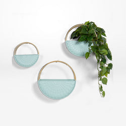 Round Wall Planters - moss