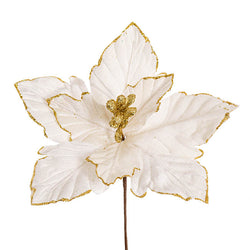 Poinsettia Pick White (23cmDx20cmH)