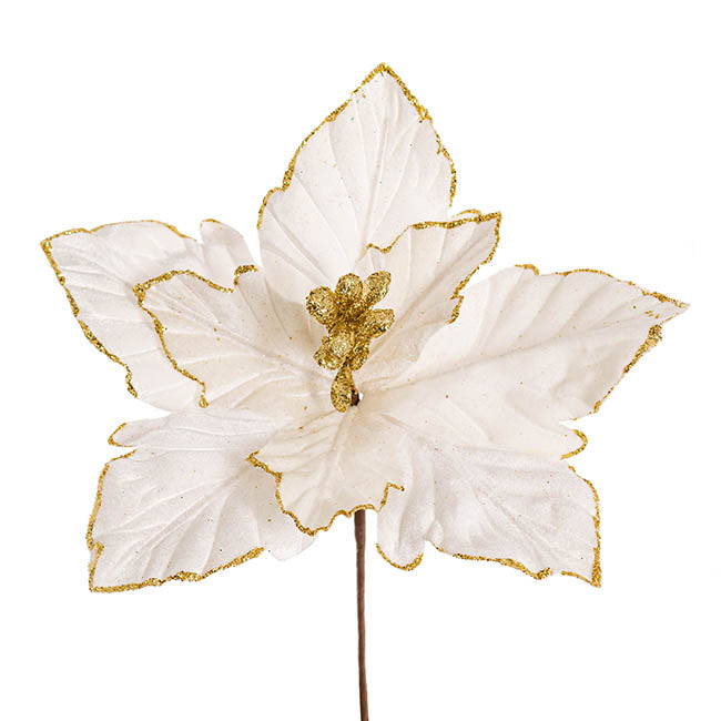 Poinsettia Pick White (23cmDx20cmH)