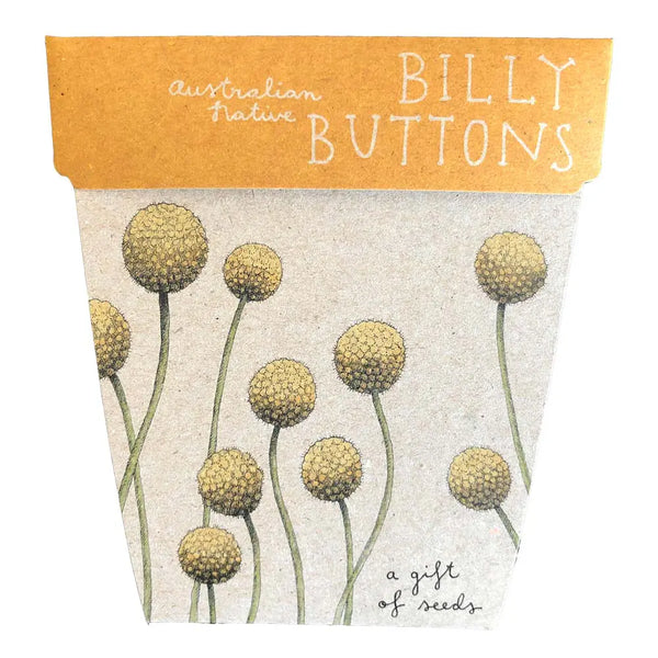 Gift of Seeds Cards