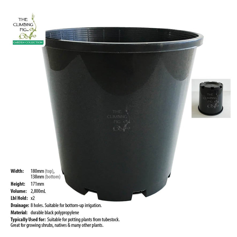 180mm Slimline BLACK Plastic Pots