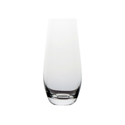 Stemless Champagne Glass
