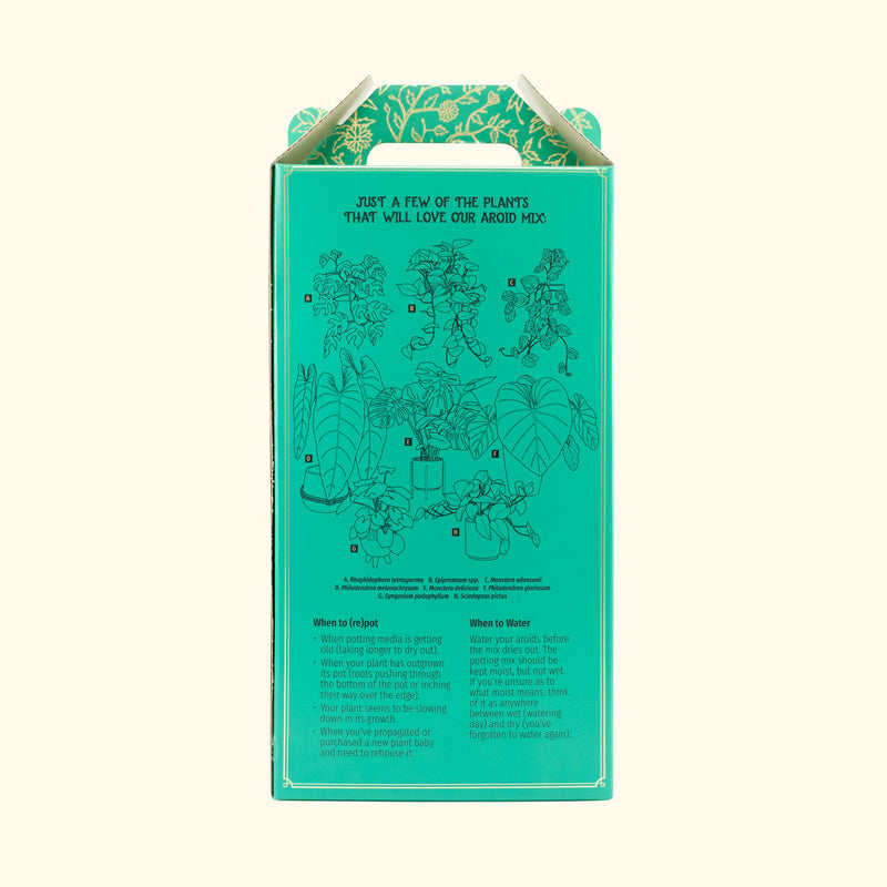 The Plant Runner Aroid Potting kit