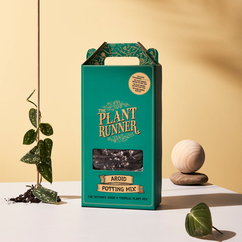 The Plant Runner Aroid Potting kit