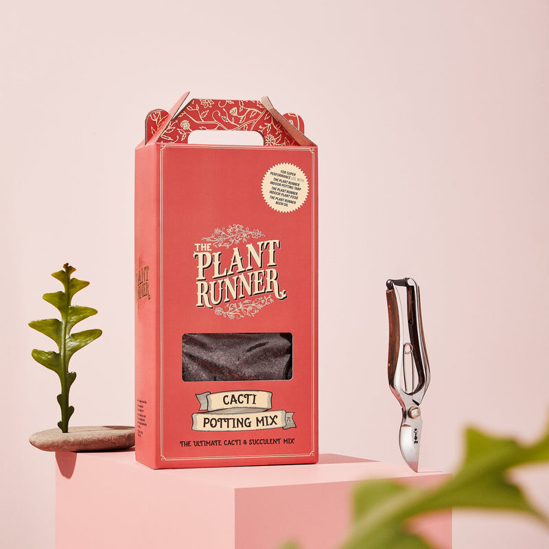 The Plant Runner Cacti & Succulent Potting mix