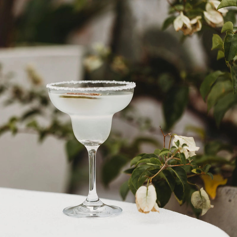 Margarita Glass - Set of 4